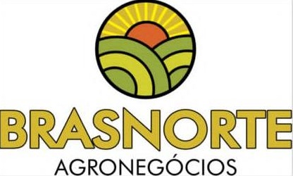 Brasnorte